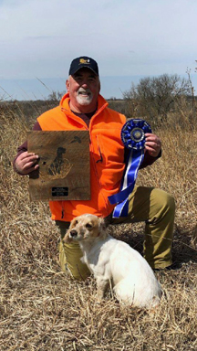 Trio, Glencoe Kennel hunting dogs Cockers and Springers